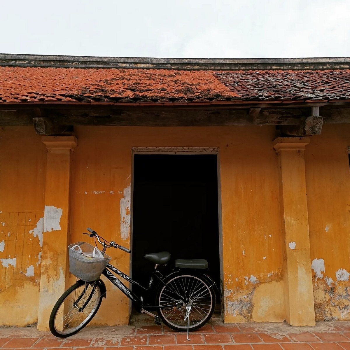 Hanoi Cycling Trip Duong Lam Ancient Village 1 Day